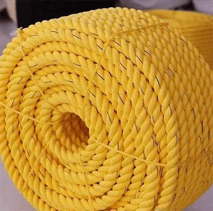 Untitled-1_0003_Daamni-Main-01